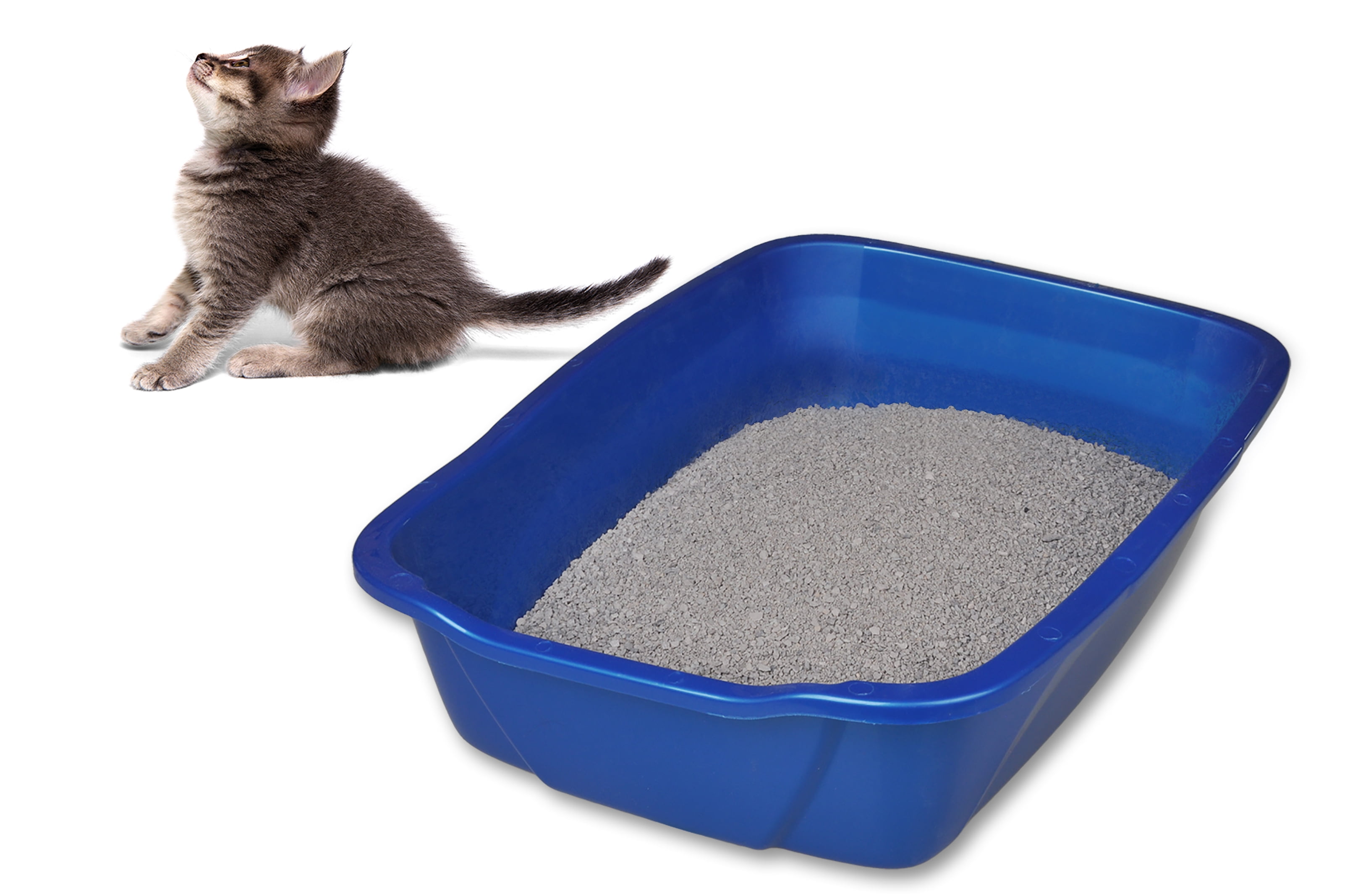 Small Cat Litter Pan: Color Varies