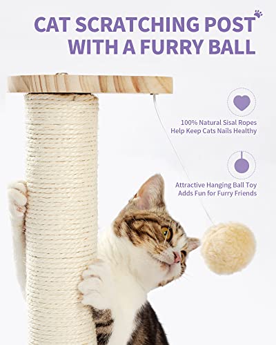 Cat Turntable with Interactive Balls