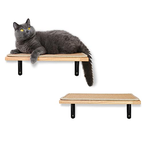Cat Scratching Wall Shelf with Mat