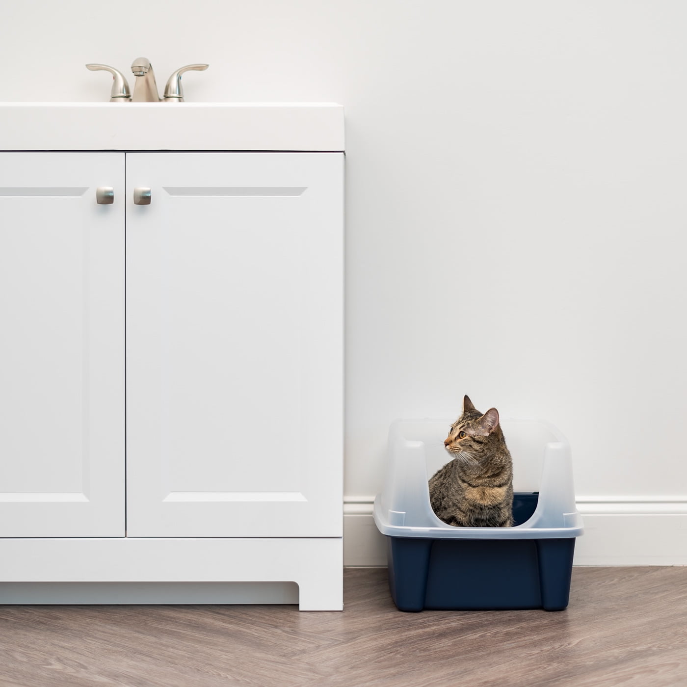 Navy Cat Litter Box with Shield by IRIS