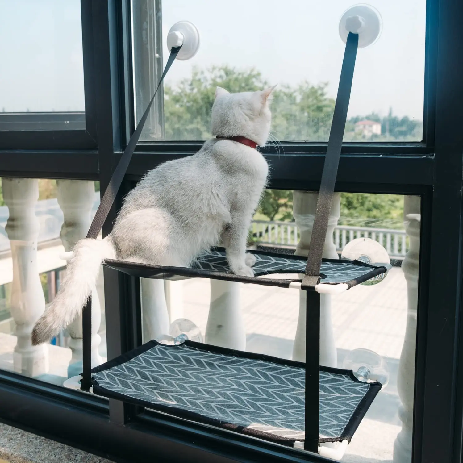 Window Perch Hammock for Cats - 44lb Limit