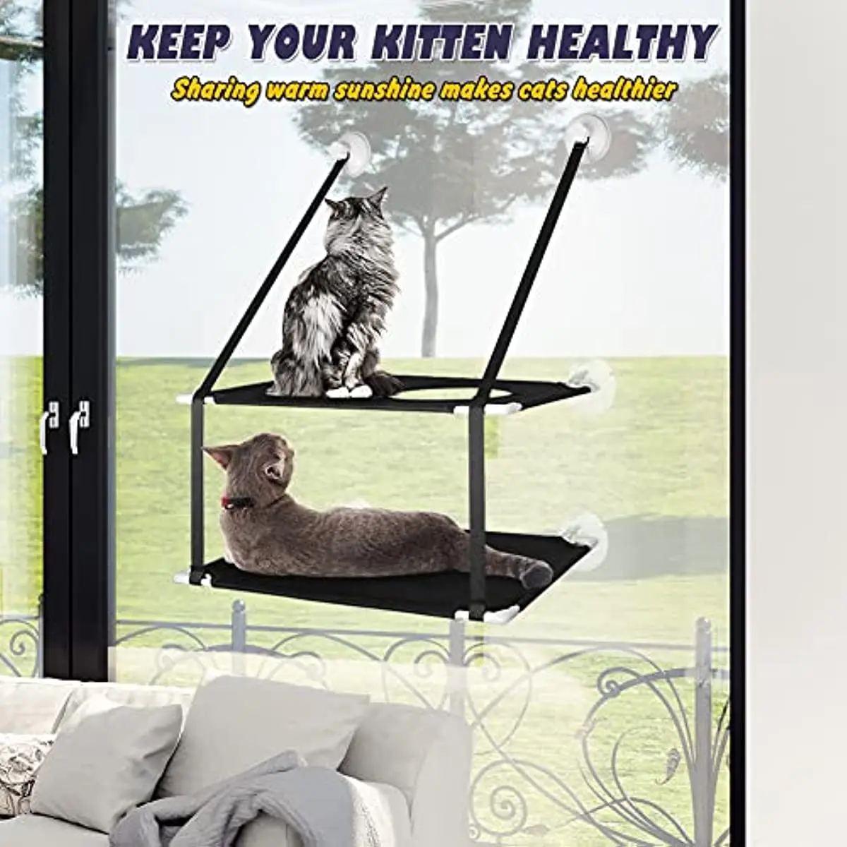 Stable Cat Window Perch with Sunbath