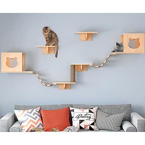 Wall-Mounted Cat Furniture with Houses, Shelves & More