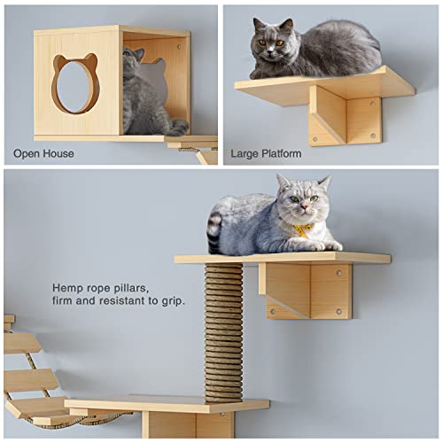 Wall-Mounted Cat Furniture with Houses, Shelves & More