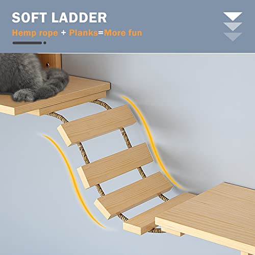 Wall-Mounted Cat Furniture with Houses, Shelves & More