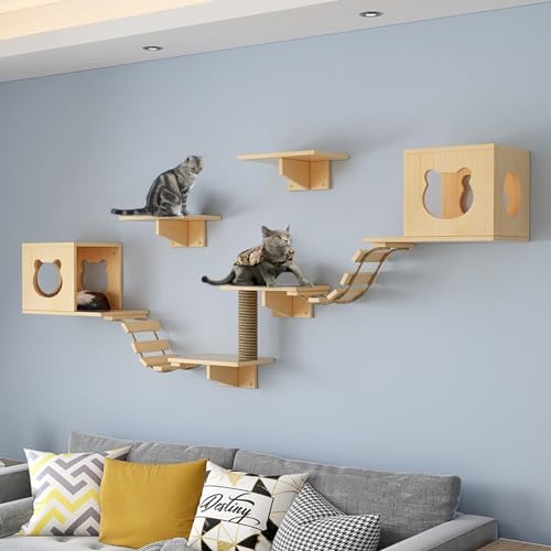 Wall-Mounted Cat Furniture with Houses, Shelves & More