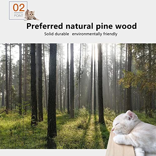 Wall-mounted Cat Furniture Set: 7 Pieces