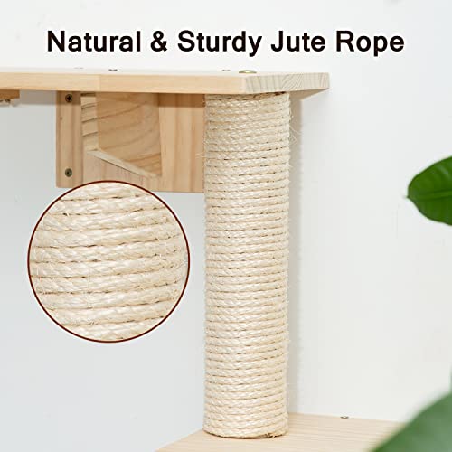 Wall-Mounted Cat Furniture Set with 5 Pieces