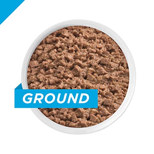 Pro Plan Weight Control Cat Food - Turkey&Rice