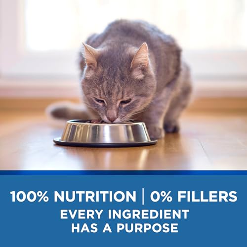 Grain-Free Senior Wet Cat Food (24 cans)