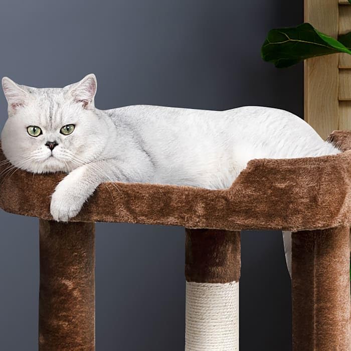 23" Brown/Black Cat Tree with Elevated Perches