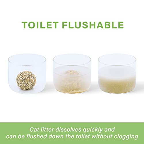 6-in-1 Milk-flavored Cat Litter, 12LB (2 Pack)