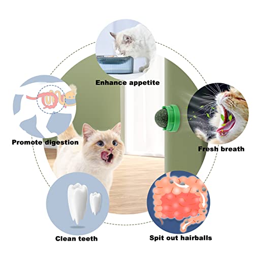 Catnip Wall Toys - 3 Pack