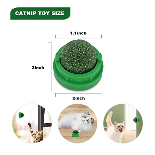 Catnip Wall Toys - 3 Pack