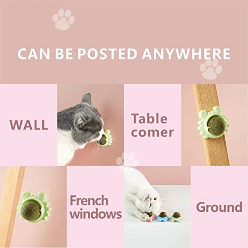 Organic Catnip Balls for Wall & Lick