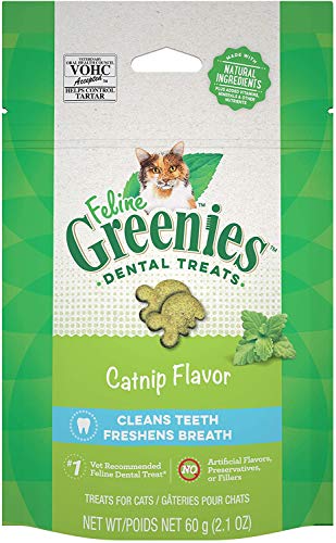 Cat dental treats bundle with wipes