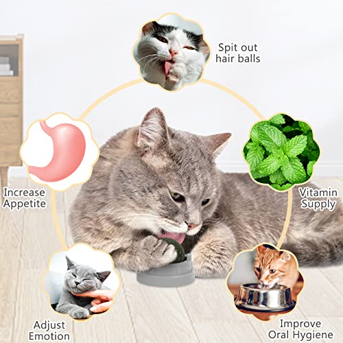 Wall-Mountable Catnip Ball Pack for Cats (Grey)