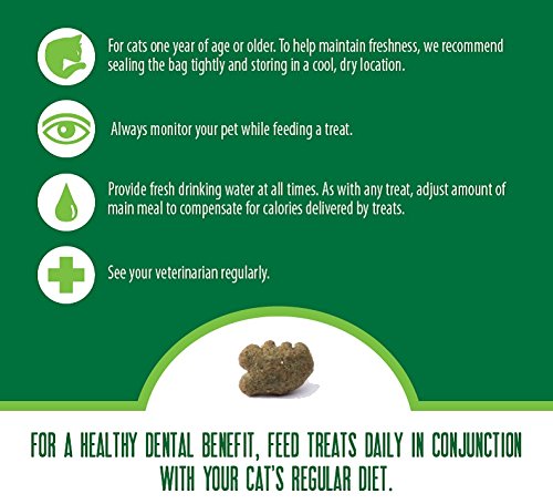Greenies Tuna Dental Treats for Cats - 12 Oz