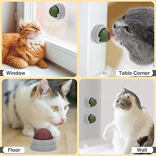 Wall-Mountable Catnip Ball Pack for Cats (Grey)