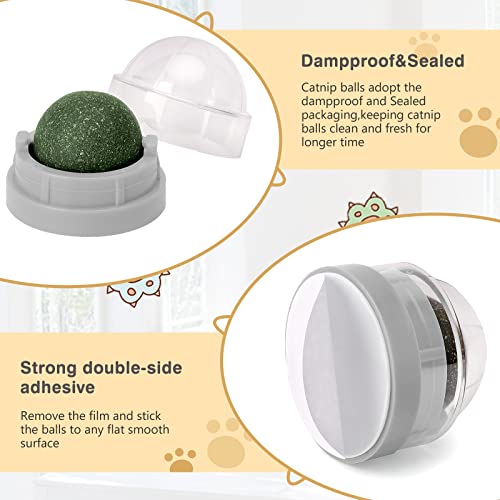 Wall-Mountable Catnip Ball Pack for Cats (Grey)
