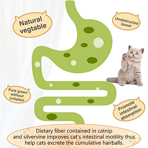 Wall-Mountable Catnip Ball Pack for Cats (Grey)