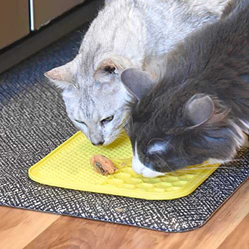 Cats Slow Feeder Duo - Anxiety, Dental & Digestion Aid