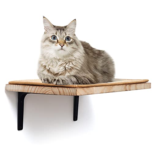Solid Wood Cat Wall Mounted Furniture