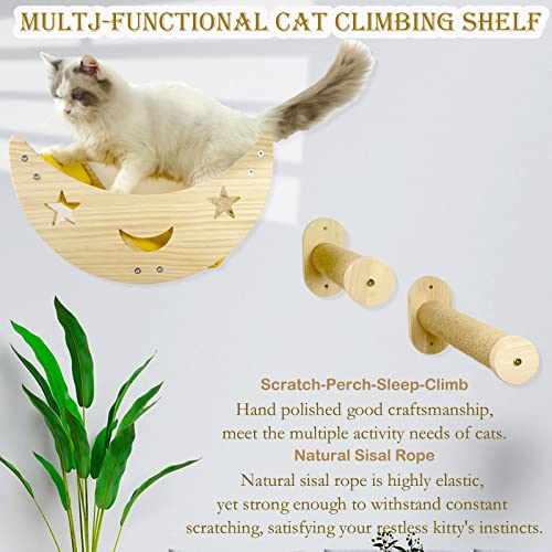Moon Wall Cat Bed with Climbing Shelf & Rope