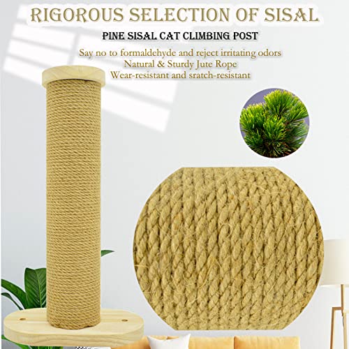 Moon Wall Cat Bed with Climbing Shelf & Rope