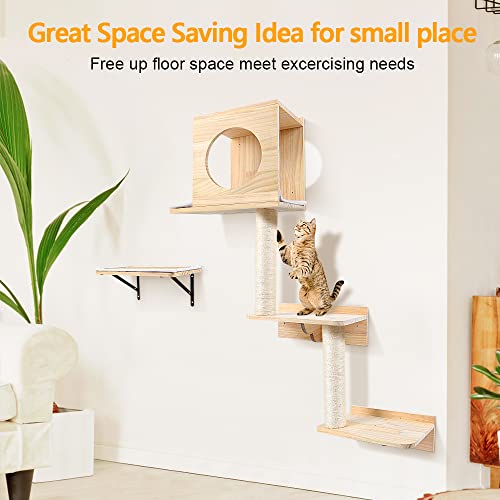 Tall Wall Mounted Cat Activity Tree