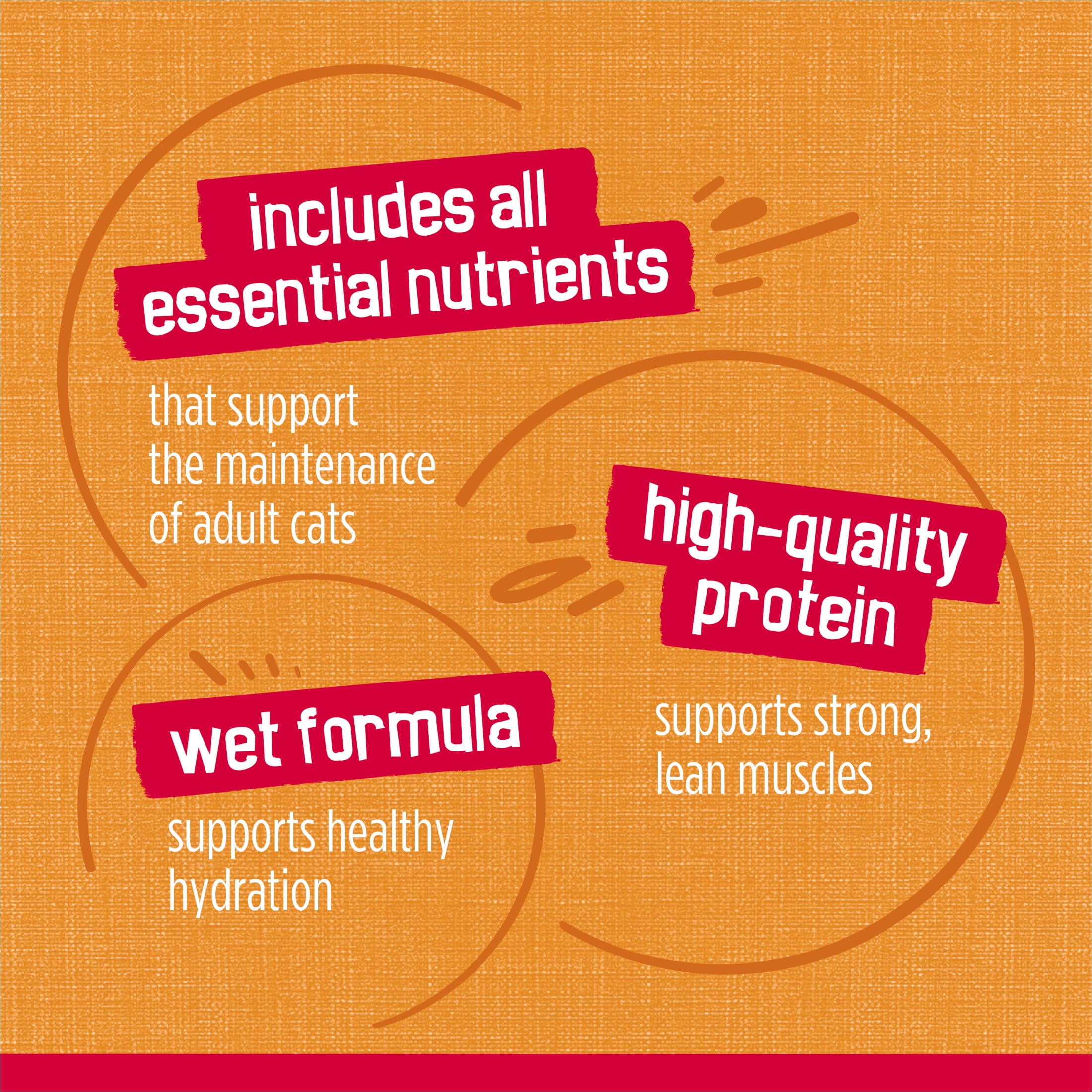 Friskies Chicken Filets Wet Cat Food, 5.5oz