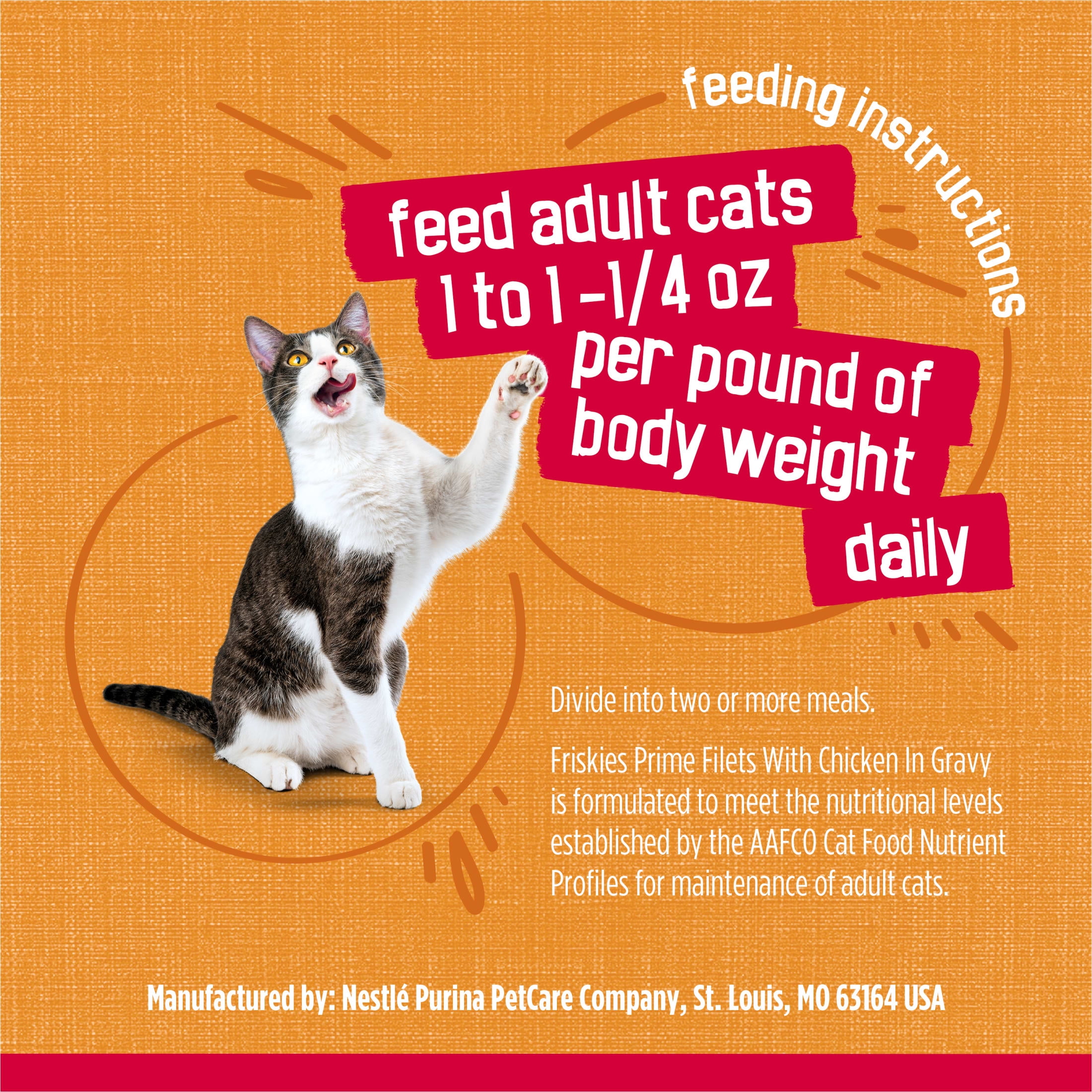 Friskies Chicken Filets Wet Cat Food, 5.5oz