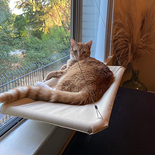 360° Cat Window Hammock for Sunbathing