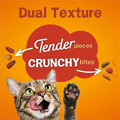 Tender & Crunchy Cat Food - 16 lbs