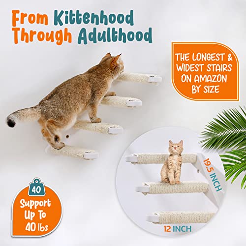 Wooden Cat Wall Shelves with Stairs