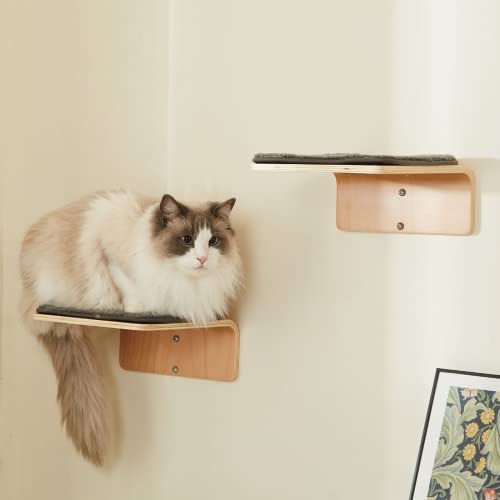 Wooden Wall-Mounted Cat Stairs with Scratching Mat