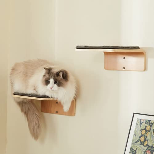 Wooden Wall-Mounted Cat Stairs with Scratching Mat
