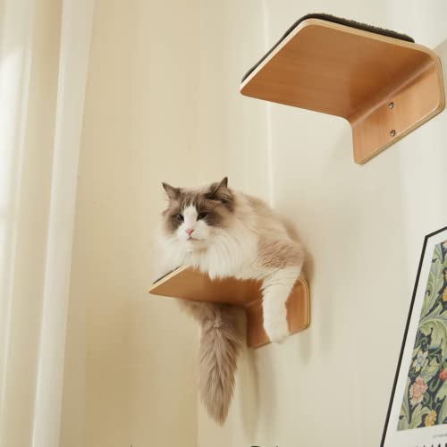 Wooden Wall-Mounted Cat Stairs with Scratching Mat