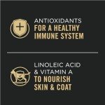 Purina Pro Plan Chicken and Rice Wet Cat Food