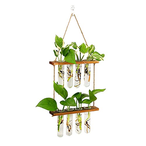 Wall Hanging Planter, 2 Tiered Plant Propagation Stations Plant Terrarium with Wooden Stand, Glass Planter Test Tube Vase for Propagating Hydroponic Plants Home Office Garden Decor-8 Bulb Vase