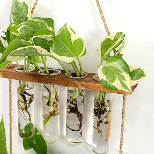 Wall Hanging Planter, 2 Tiered Plant Propagation Stations Plant Terrarium with Wooden Stand, Glass Planter Test Tube Vase for Propagating Hydroponic Plants Home Office Garden Decor-8 Bulb Vase