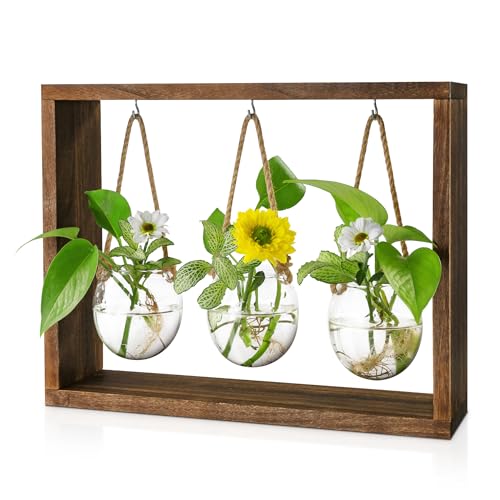 Grovind Plant Propagation Stations, Desktop Air Plant Terrarium with Wooden Stand Propagation Station, Propagator Glass Planters for Hydroponics Plants Home Office Gift for Woman