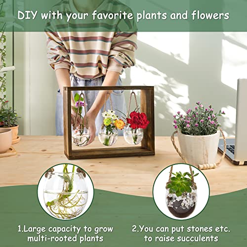 Grovind Plant Propagation Stations, Desktop Air Plant Terrarium with Wooden Stand Propagation Station, Propagator Glass Planters for Hydroponics Plants Home Office Gift for Woman