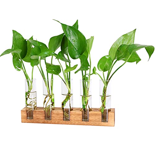 Desktop Glass Plant Propagation Station 5 Test Tube Plant Terrarium in Wooden Stand for Hydroponics Plants Desktop Home Garden Wedding Décor