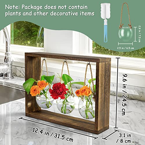 Grovind Plant Propagation Stations, Desktop Air Plant Terrarium with Wooden Stand Propagation Station, Propagator Glass Planters for Hydroponics Plants Home Office Gift for Woman