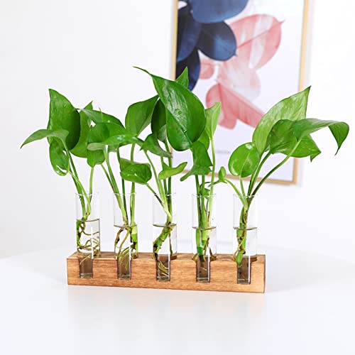 Desktop Glass Plant Propagation Station 5 Test Tube Plant Terrarium in Wooden Stand for Hydroponics Plants Desktop Home Garden Wedding Décor