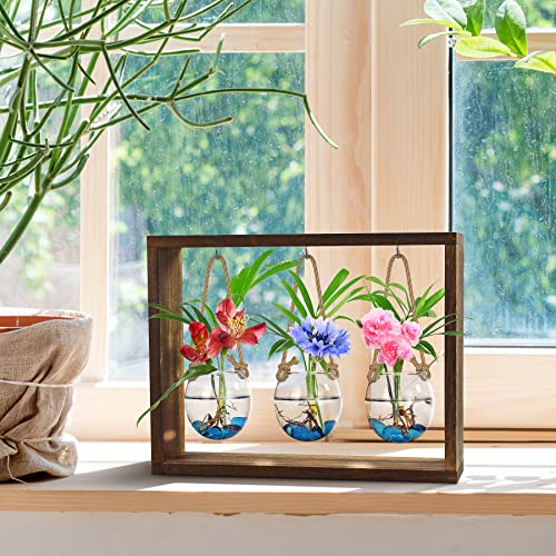 Grovind Plant Propagation Stations, Desktop Air Plant Terrarium with Wooden Stand Propagation Station, Propagator Glass Planters for Hydroponics Plants Home Office Gift for Woman