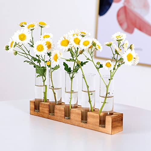 Desktop Glass Plant Propagation Station 5 Test Tube Plant Terrarium in Wooden Stand for Hydroponics Plants Desktop Home Garden Wedding Décor