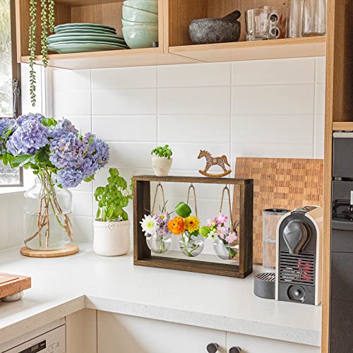 Grovind Plant Propagation Stations, Desktop Air Plant Terrarium with Wooden Stand Propagation Station, Propagator Glass Planters for Hydroponics Plants Home Office Gift for Woman