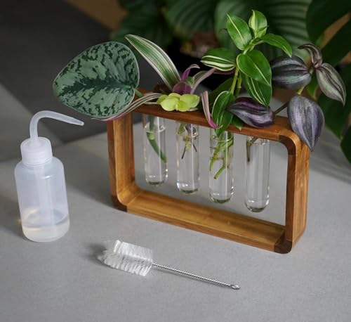 Source & Plot - Plant Propagation Station - Acacia Wood Stand 4 Glass Test Tube Hydroponic Tabletop Rooting Terrarium Planter Rack Home and Office Decor - Gift for Plant Lovers